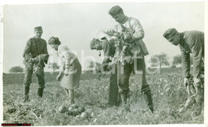 Fotografia d'epoca originale 1939 WW2 MILANO Soldati tedeschi al lavoro nei campi 1