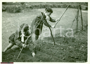Fotografia d'epoca originale 1941 ROMA Bambini delle scuole fanno giardinaggio PHOTO 1