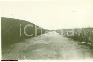 Fotografia d epoca originale 1930 ca MONTONA CROAZIA Fiume QUIETO prima di bonifica 1