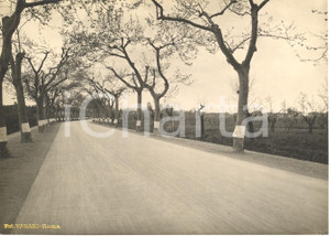 Fotografia d'epoca originale 1935 ca PISA Strada dell'ABETONE con vista su Campanile 1