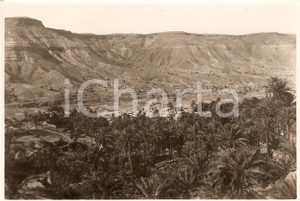 Fotografia d'epoca originale 1935 ca GEBEL EL-ACHDAR (LIBIA) Villaggio nell'oasi sotto l'altipiano *Foto 1