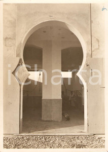 Fotografia d'epoca originale 1935 ca TOBRUCH (LIBIA) L'ingresso del macello pubblico *Fotografia 1