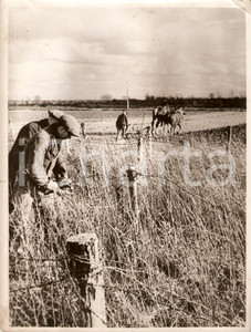 Fotografia d epoca originale 1941 SAINTQUENTIN F WW2 Contadini arano campi di battaglia Fotografia 1