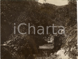 Fotografia d epoca originale 1930 ca LIBIA La TRIPOLITANIA come campagna bolognese 1