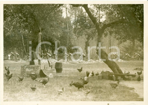 Fotografia d epoca originale 1937 BORDEAUX F Tour de FRANCE Roger LAPEBIE stacca SylvÃ¨re MAES Foto 1