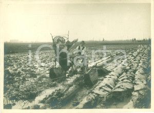 Fotografia d epoca originale 1935 ca BOLOGNA Aratura con trattore meccanico FOTOGRAFIA 1