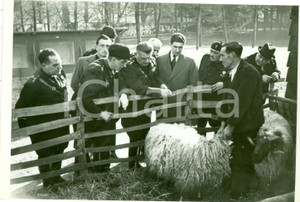 Fotografia d epoca originale 1938 TORINO Mario MUZZARINI visita ovili Mostra Autarchia FOTOGRAFIA 1