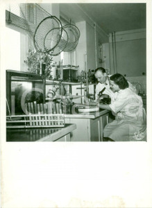 Fotografia d epoca originale 1950 ca PULAWY Scienziati laboratorio ittiologico ISTITUTO STATALE VETERINARIO 1