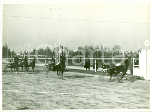 Fotografia d epoca originale 1936 MILANO SAN SIRO Cavallo NAPOLEONE taglia traguardo Premio Nazionale Ippica 1