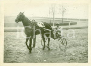 Fotografia d epoca originale 1936 MILANO SAN SIRO Cavallo MARY SUNSHINE vince Premio dell AVVENIRE Fotografia 1