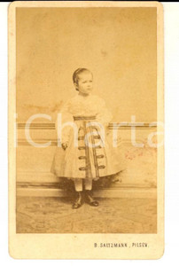 Fotografia d epoca originale 1870 ca PILSEN CZ Ritratto di bambina con abito ricamato Foto SALTZMANN CDV 1
