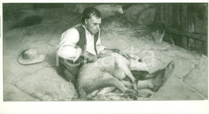 Fotografia d epoca originale 1936 FIRENZE Egisto FERRONI Ai campi Fotografia coeva del quadro 1