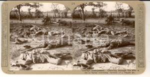 Fotografia d epoca originale 1918 WW1 THE GREAT WAR Crawling through the wire to rescue fallen Stereoscopic 1