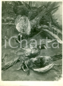 Fotografia d epoca originale 1935 MILANO Quadro Fagiani di Arturo DAZZI esposto a una mostra FOTOGRAFIA 1