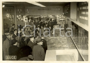 Fotografia d epoca originale 1938 ROMA Dino ALFIERI e funzionari Ministero Cultura Popolare a Mostra Minerale 1