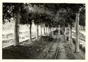 Fotografia d epoca originale 1939 ROMA Porta CAPENA Costruzione VIA IMPERIALE per Esposizione 1942 Foto 1