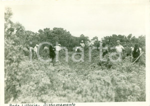 Fotografia d epoca originale 1934 BEDA LITTORIA LIBIA Coloni italiani disboscano campi libici Fotografia 1