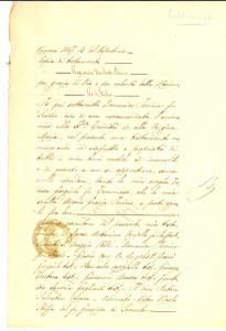 Documento originale, autentico 1886 SORRENTO NA Testamento Domenico IOVINO pro moglie e sorella Manoscritto 1