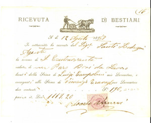 Documento originale, autentico 1887 FIRENZE ? Ricevuta per paio di buoi da lavoro all agente Santi SOSTEGNI 1