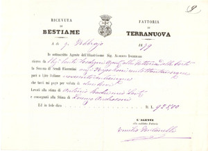 Documento originale, autentico 1879 TERRANUOVA BRACCIOLINI AR Fattoria di TERRANUOVA Ricevuta 1