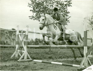 Fotografia d epoca originale 1935 ca TORINO Ippica Fantino gara di salto ostacoli FOTOGRAFIA 1