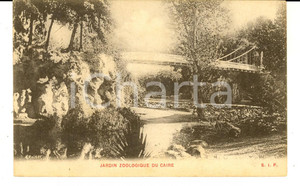 Cartolina originale da collezione 1910 LE CAIRE EGYPTE Jardin Zoologique Carte postale FP NV 1