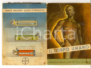 Materiale pubblicitario d’epoca 1940 ca MILANO COFA Cooperativa Farmaceutica Il corpo umano Opuscolo BAYER 4 1