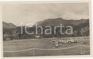 Fotografia d epoca originale 1937 PAPEETE FESTA 14 LUGLIO Diadema campo corse  REAL PHOTO cm 13,5 x 8,5 1