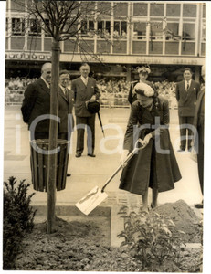 1958 CRAWLEY (SUSSEX) Queen Elizabeth plants a tree in Queen's Square *Photo