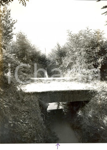 Fotografia d epoca originale 1960 LUNGAVILLA PV Veduta del torrente LURIA con passerella Fotografia 1