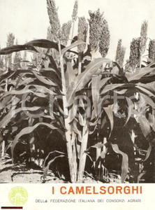 Materiale pubblicitario d’epoca 1950 ca FEDERCONSORZI I Camelsorghi  Pieghevole 1