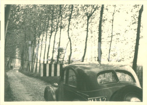 Fotografia d epoca originale 1950 VIGEVANO PV FIAT 508C Nuova Balilla 1100 persa in un bosco FOTOGRAFIA 1
