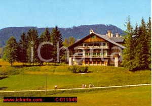 Cartolina originale da collezione 1975 ca MARIAZELL AUSTRIA Hotel ALPENHOF di Irene FLESCH Cartolina 1