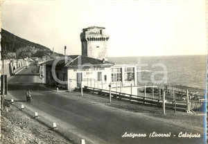 Cartolina originale da collezione 1954 LIVORNO Il ristorante CALAFURIA - quartiere di Antignano *Cartolina ANIMATA 1