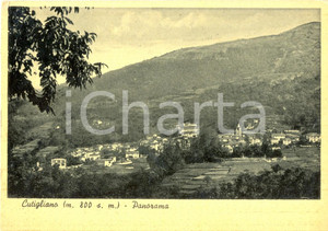 Cartolina originale da collezione 1951 CUTIGLIANO PT Panorama del paese Cartolina postale FG VG 1