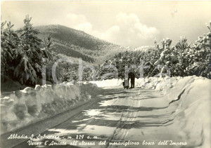 Cartolina originale da collezione 1957 ABBADIA SAN SALVATORE SI Verso l AMIATA  Bosco dell IMPERO FG VG 1
