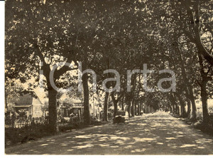 Cartolina originale da collezione 1961 MARINA DI PISA (PI) Veduta Lungarno Gabriele D'ANNUNZIO *Cartolina FG VG 1