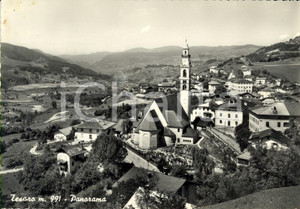 Cartolina originale da collezione 1956 TESERO TN Veduta del paese e della vallata Cartolina postale FG VG 1