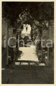 Cartolina originale da collezione 1933 TAORMINA ME Il giardino dell Hotel PALACE a SAN DOMENICO Cartolina FP VG 1