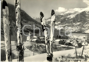 Cartolina originale da collezione 1955 OULX TO Panorama del paese e della vallata Cartolina postale FP VG 1