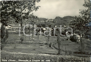 Cartolina originale da collezione 1956 TORGNON (AO) Primavera in VALLE D'AOSTA *Cartolina postale FG VG 1
