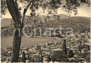 Cartolina originale da collezione 1954 RAPALLO (GE) Panorama della cittÃ  *Cartolina FG VG 1