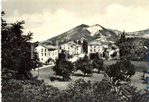 Cartolina originale da collezione 1951 PONTE NIZZA PV Scorcio panoramico del paese Cartolina postale FG VG 1