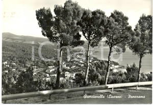 Cartolina originale da collezione 1962 LIVORNO Panoramica aerea della frazione QUERCIANELLA *Cartolina FG VG 1