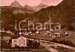 Cartolina originale da collezione 1954 CHAMPOLUC AO Veduta del paese con sfondo TESTA GRIGIA Cartolina FG NV 1
