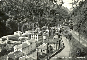 Cartolina originale da collezione 1957 BOGNANCO TERME VB Scorcio panoramico frazione FONTI  Cartolina FG VG 1