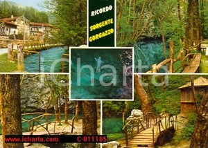 Cartolina originale da collezione 1977 Polcenigo SORGENTE DEL GORGAZZO vedutine Cartolina FG VG 1