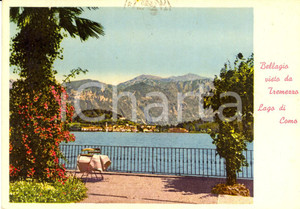 Cartolina originale da collezione 1956 TREMEZZO (CO) Panorama del lago e BELLAGIO *Cartolina VINTAGE FG VG 1