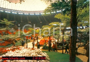 Cartolina originale da collezione 1991 GENOVA Fiera EUROFLORA Esposizione fiori ANIMATA Vintage Cartolina FG NV 1