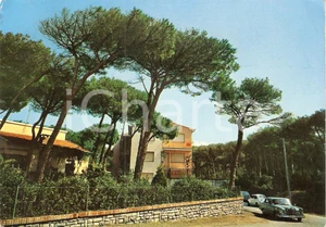 Cartolina originale da collezione 1968 CASTAGNETO CARDUCCI LI Frazione DONORATICO La pineta Cartolina FG VG 1